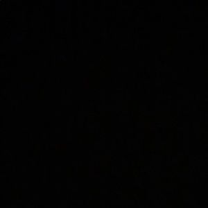 Meet your Posher, Isabella